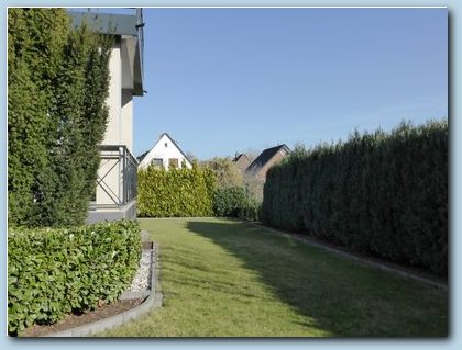 Perfekter süd-/west-ausgerichteter Garten mit dichtem, gepflegtem Rasen